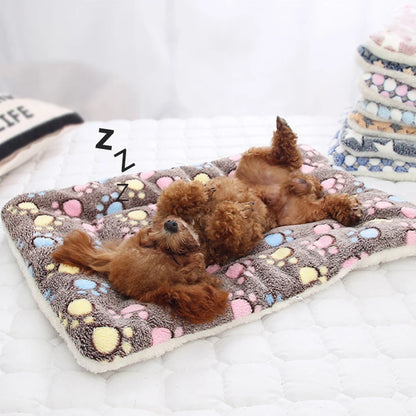 Double-sided Pet Mat