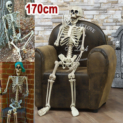 Full-Size Posable Halloween Skeleton 💀
