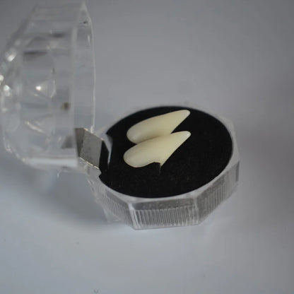 halloween party Fangs Decoration DIY Halloween Resin vampire teeth Props Horror 5g glue friends gifts Cosplay witch false fangs