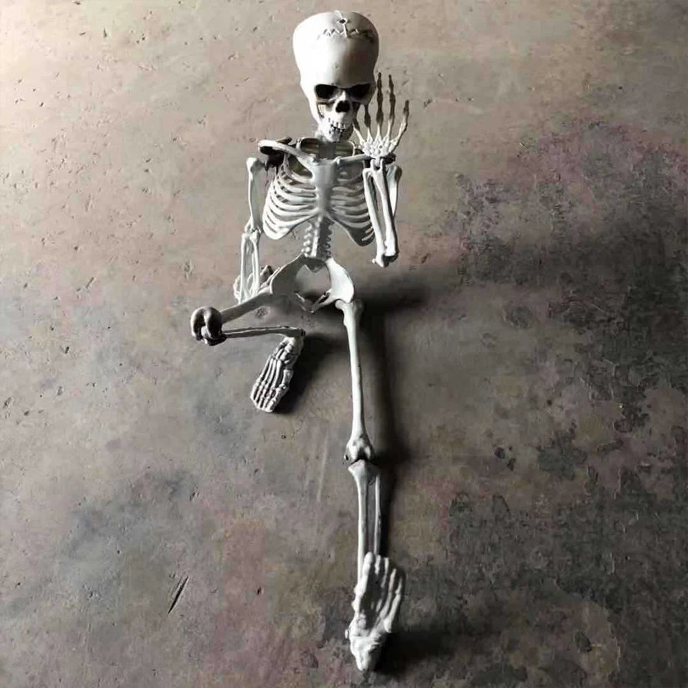 Full-Size Posable Halloween Skeleton 💀