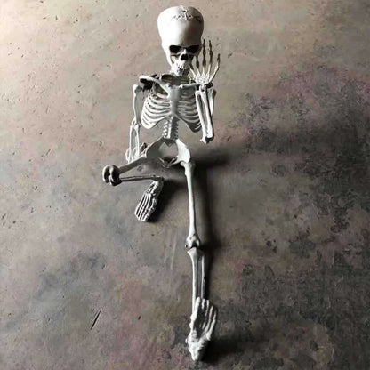 Full-Size Posable Halloween Skeleton 💀