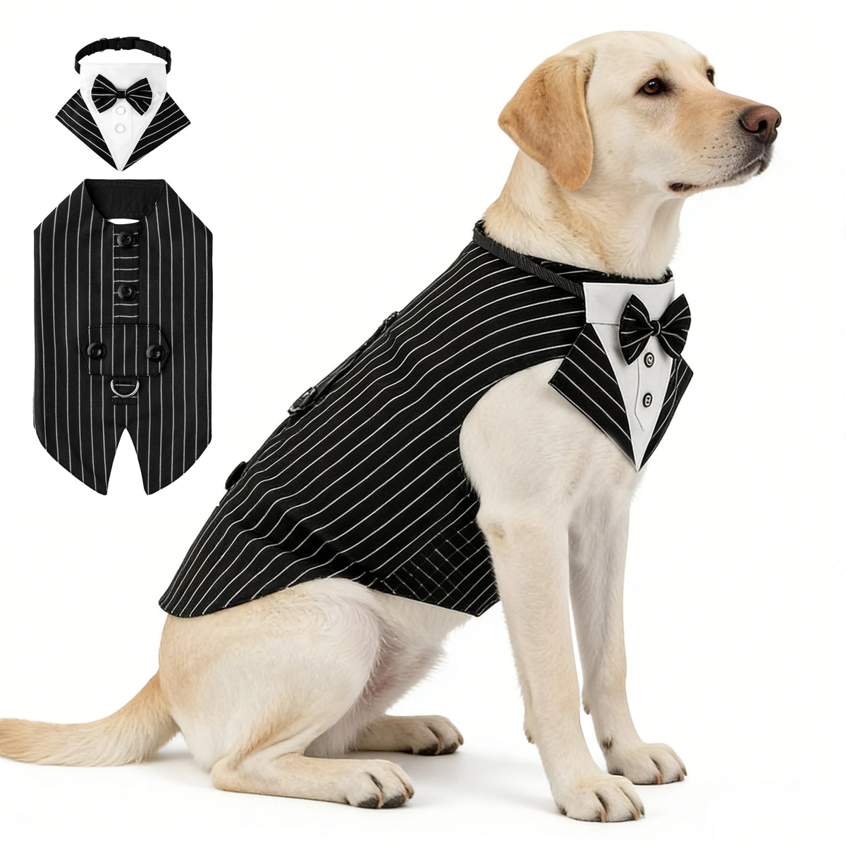 Formal Dog Elegant Suit and Colar Bandana Set