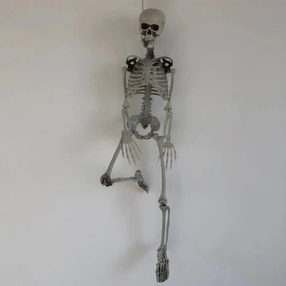 Full-Size Posable Halloween Skeleton 💀