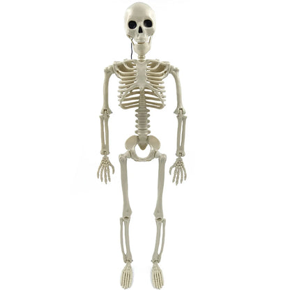 Full-Size Posable Halloween Skeleton 💀