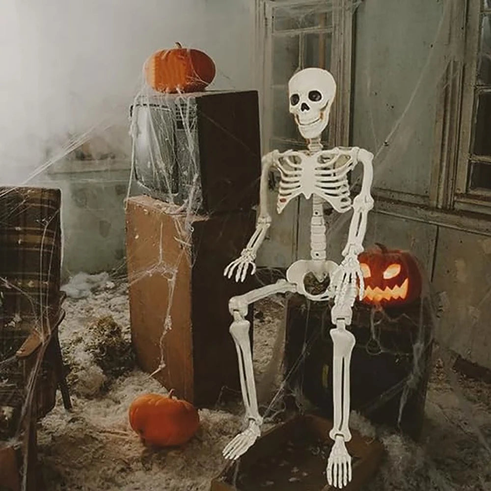 Posable Halloween Skeleton 💀