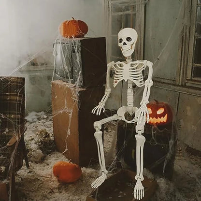 Posable Halloween Skeleton 💀