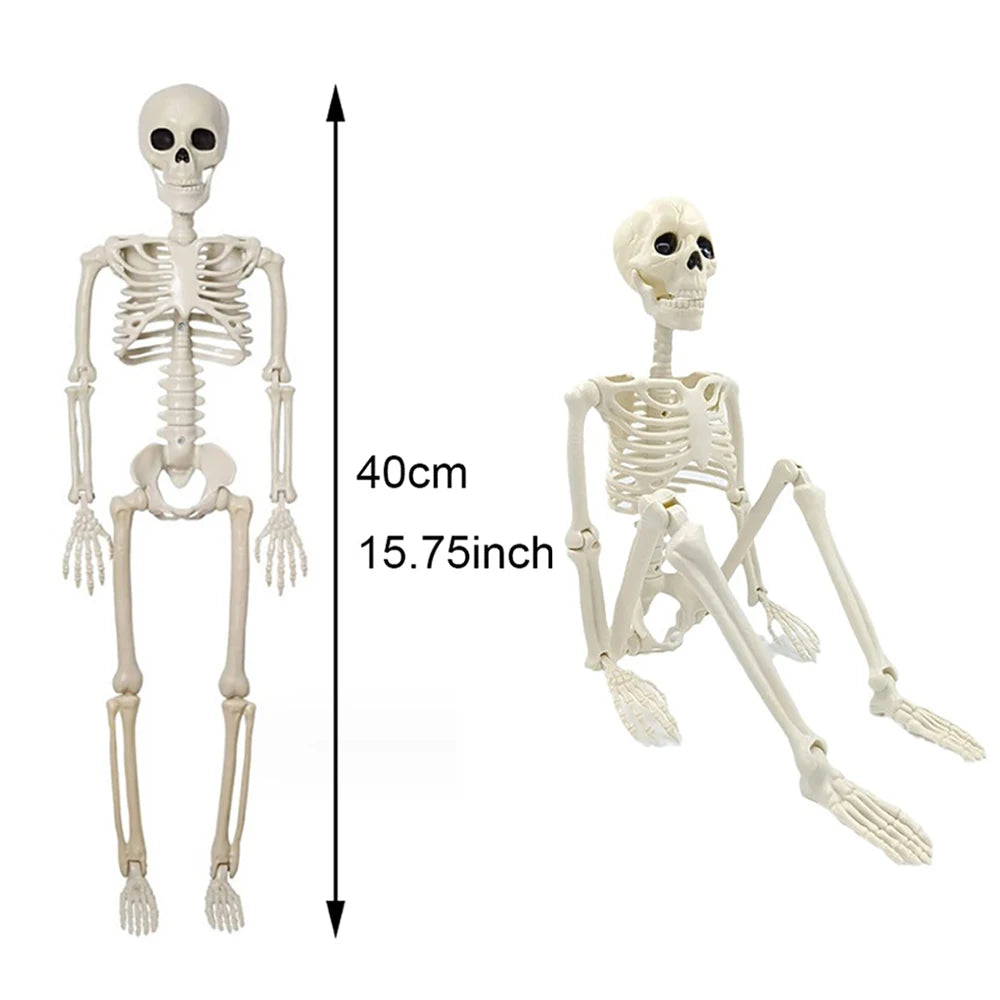 Posable Halloween Skeleton 💀