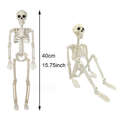 Posable Halloween Skeleton 💀