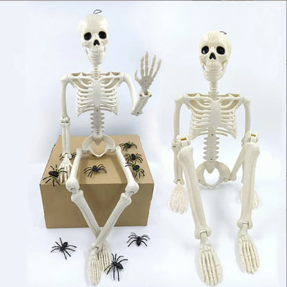 Posable Halloween Skeleton 💀