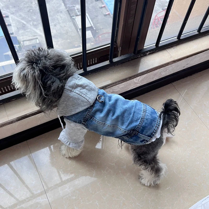 Cool Dog Jean Jacket Vest with D-Ring Hoodies for Small Medium Dogs