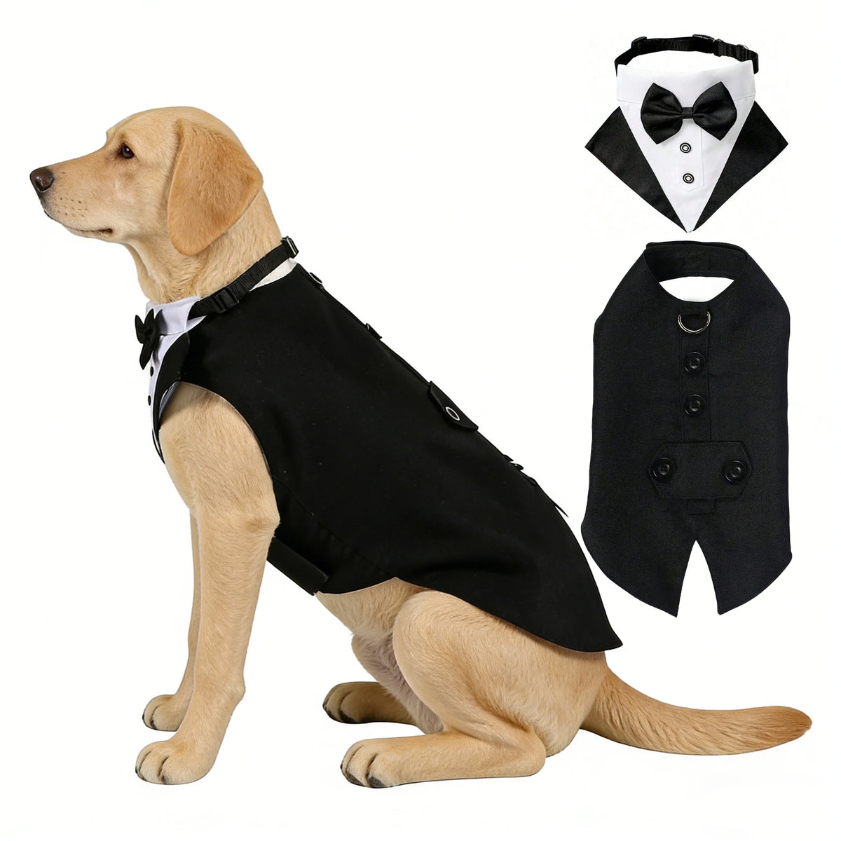 Formal Dog Elegant Suit and Colar Bandana Set