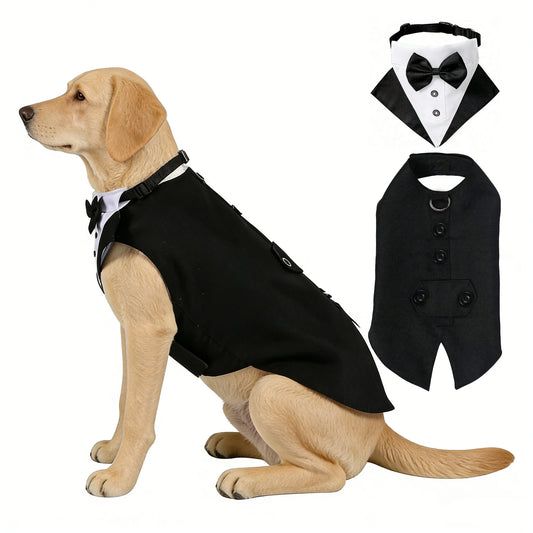 Formal Dog Elegant Suit and Colar Bandana Set