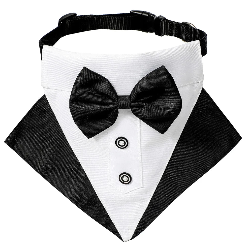 Formal Dog Elegant Suit and Colar Bandana Set