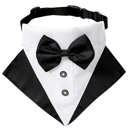 Formal Dog Elegant Suit and Colar Bandana Set