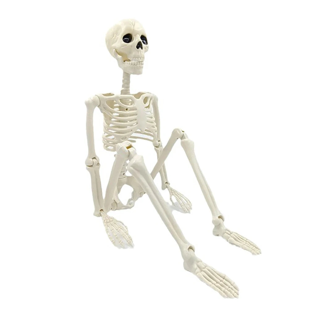Posable Halloween Skeleton 💀