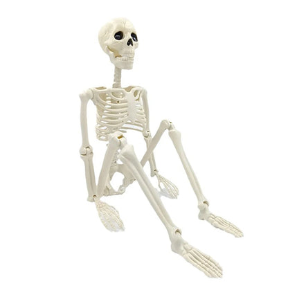 Posable Halloween Skeleton 💀