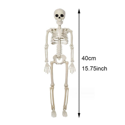 Posable Halloween Skeleton 💀