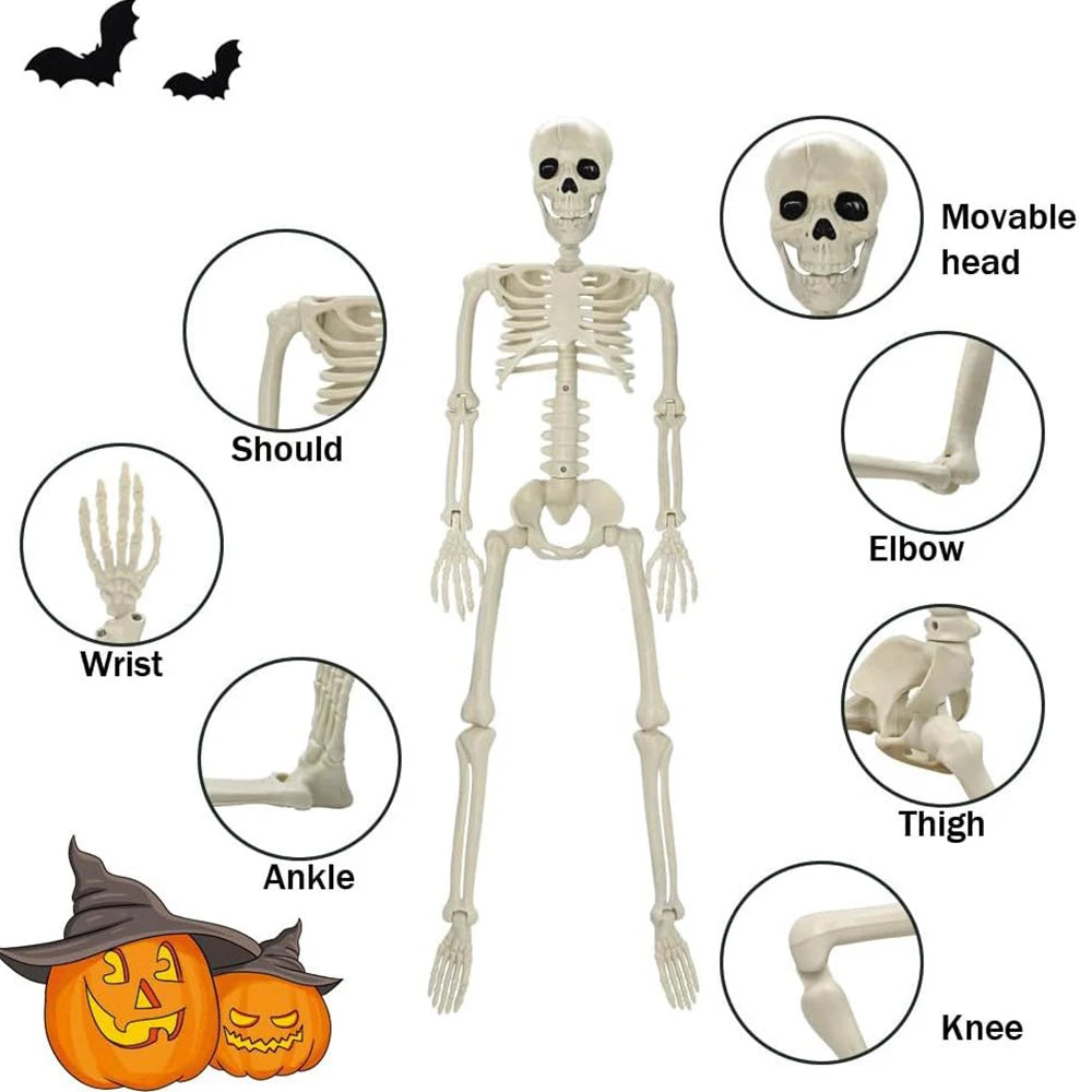 Posable Halloween Skeleton 💀