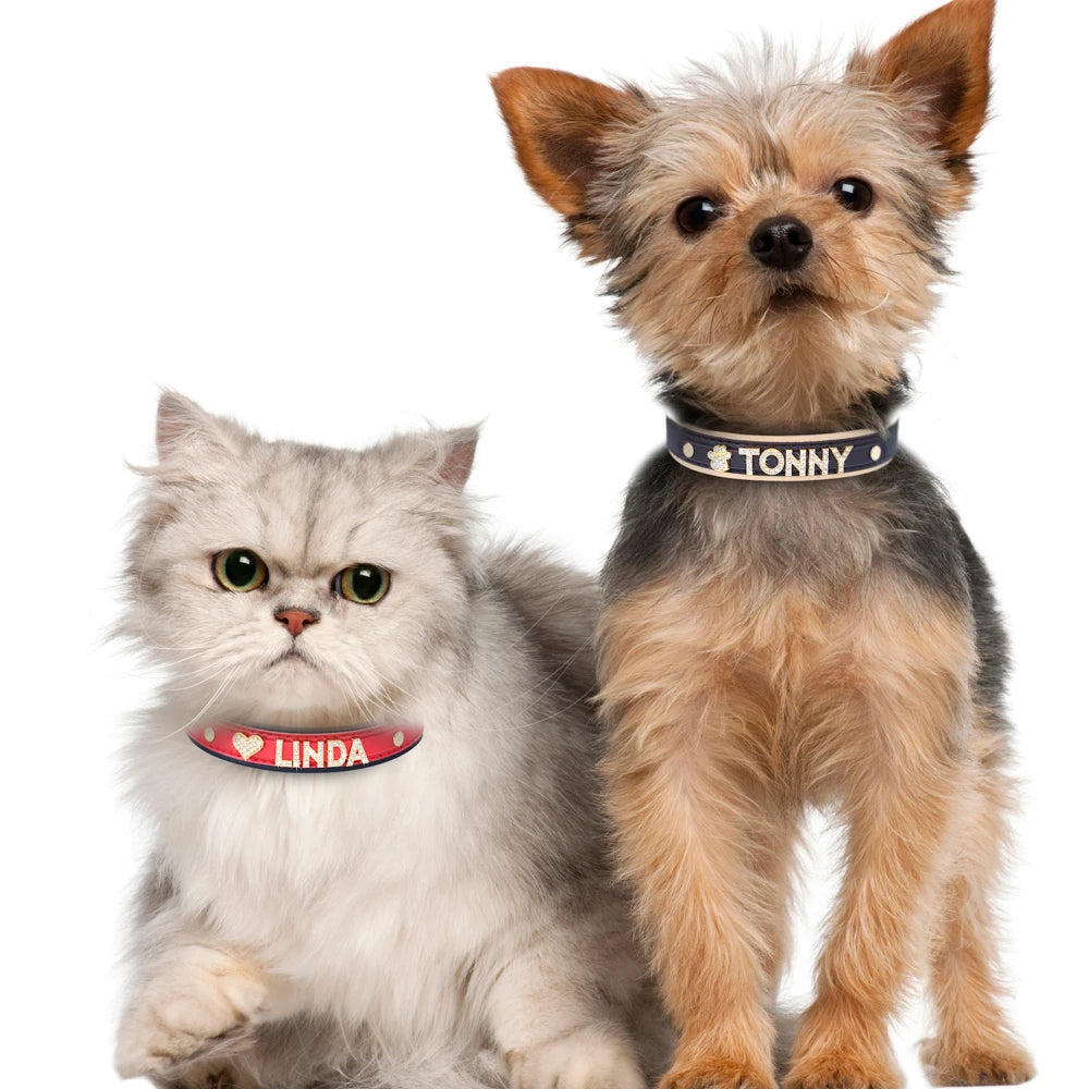Personalized Small Dogs Chihuahua Collar Bling