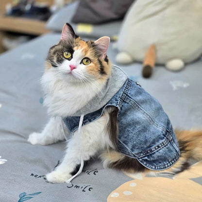 Cool Dog Jean Jacket Vest with D-Ring Hoodies for Small Medium Dogs